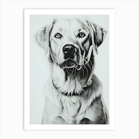 Faithful Friend A Dog S Tale Art Print