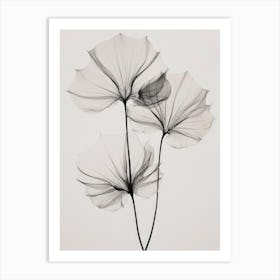 Transparent Botanic No 3 Art Print