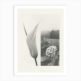 Calla Lilly Flower Photo Collage 3 Art Print