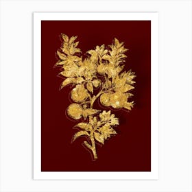 Vintage Bitter Orange Botanical in Gold on Red Art Print
