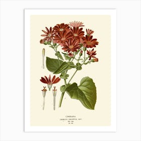 Chrysanthemums 6 Art Print