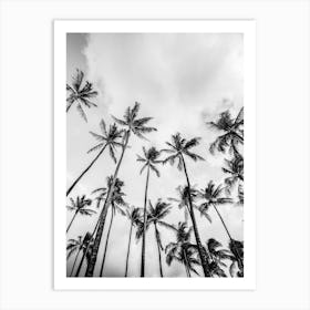 Palm Trees And Clouds Black And White 1 Art Print