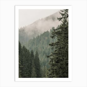 Misty Pine Forest Art Print