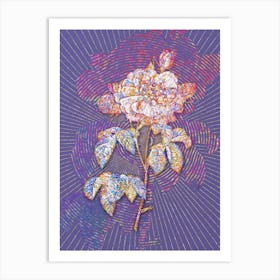 Geometric Vintage Duchess of Orleans Rose Mosaic Botanical Art on Veri Peri n.0260 Art Print