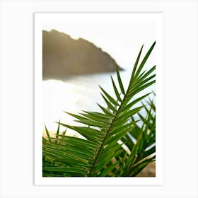 Palm Leaf at The Beach // Ibiza Nature & Travel Photography Art Print