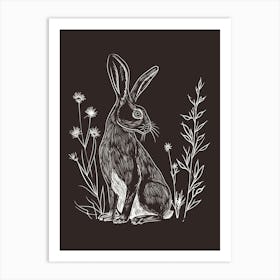 Californian Rabbit Minimalist Illustration 2 Art Print
