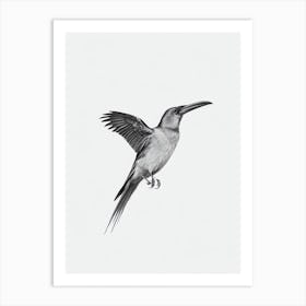 Raven B&W Pencil Drawing 3 Bird Art Print