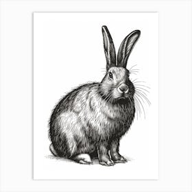 Flemish Giant Blockprint Rabbit Illustration 4 Art Print
