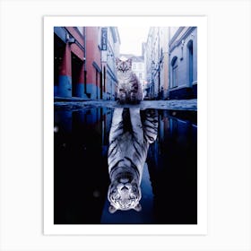 Kitten And Big White Tiger Art Print