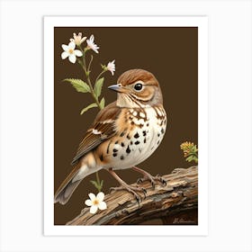 Robin With Flowers 3 Art Print