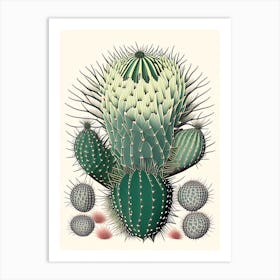 Melocactus Cactus William Morris Inspired 1 Art Print