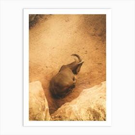 A Mountain Goat In A Frame Of Rocks 2 Art Print