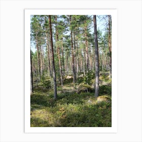 Swedish forrest 40893 Art Print