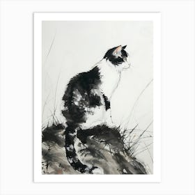 Cat Sitting On A Rock Art Print