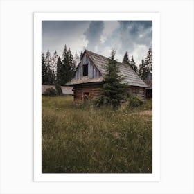 Abandoned Log Cabin Art Print