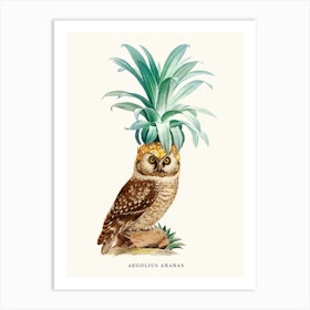 Pineapple Owl Vintage Art Print