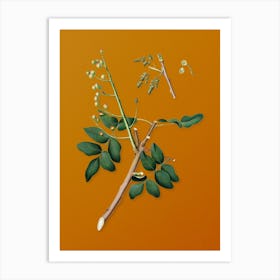 Vintage Pistachio Botanical on Sunset Orange n.0617 Art Print