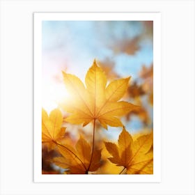 Autumn Leaves 1 Art Print