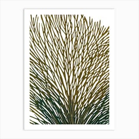 Acropora Intermedia Linocut Art Print