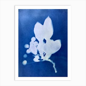 'Blue Flower' Art Print