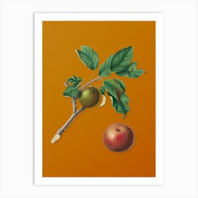 Vintage Apple Botanical on Sunset Orange n.0078 Art Print