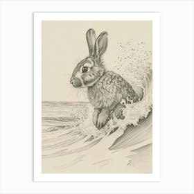 New Zealand Rabbit Drawing 3 Art Print