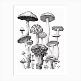 Mushroom Drawing B&W 5 Art Print