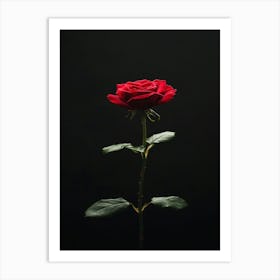 Single Red Rose On Black Background 41 Art Print