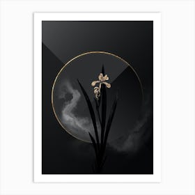Shadowy Vintage Yellow Banded Iris Botanical in Black and Gold n.0101 Art Print