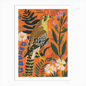 Spring Birds Falcon 4 Art Print