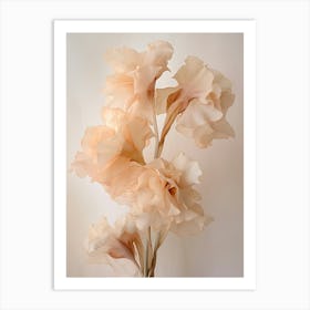 Boho Dried Flowers Gladiolus 4 Art Print