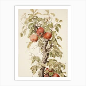 Autumn Apple Tree Vintage Art Print