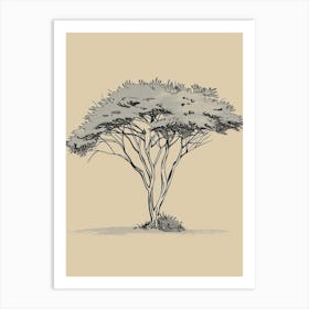 Acacia Tree Minimalistic Drawing 2 Art Print