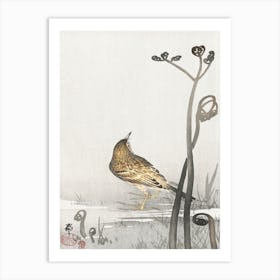 Pipit On A Waterfront (1900 1910), Ohara Koson Art Print