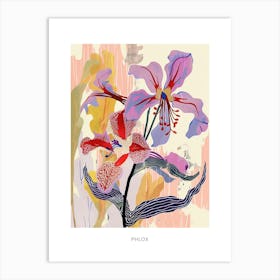 Colourful Flower Illustration Poster Phlox 2 Art Print