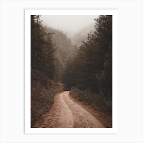 Road Through Dense Forest Art Print