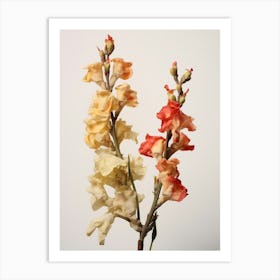 Pressed Flower Botanical Art Snapdragon 2 Art Print