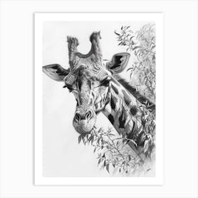Pencil Portrait Of A Giraffe In The Trees 2 Art Print