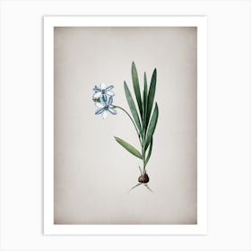 Vintage Gladiolus Plicatus Botanical on Parchment n.0315 Art Print