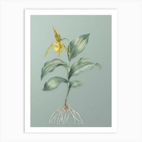 Vintage Yellow Lady's Slipper Orchid Botanical Art on Mint Green n.0640 Art Print