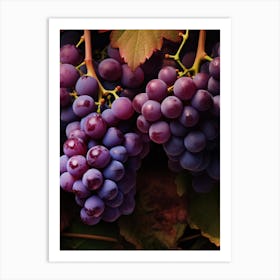 Purple Grapes Art Print