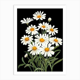 Daisies 2 Art Print