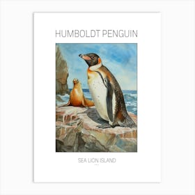 Humboldt Penguin Sea Lion Island Watercolour Painting 4 Poster Art Print