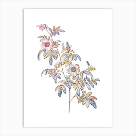 Stained Glass Musk Rose Mosaic Botanical Illustration on White n.0298 Art Print