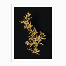 Vintage Goji Berry Branch Botanical in Gold on Black n.0454 Art Print