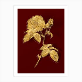 Vintage Apothecary Rose Botanical in Gold on Red n.0462 Art Print