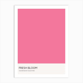 Fresh Bloom Colour Block Poster Art Print