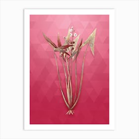 Vintage Arrowhead Botanical in Gold on Viva Magenta Art Print