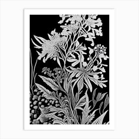 Wild Quinine Wildflower Linocut 2 Art Print
