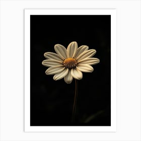 Daisy 3 Art Print